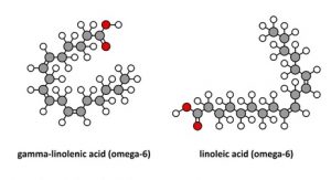 Estructura ácido graso omega 6
