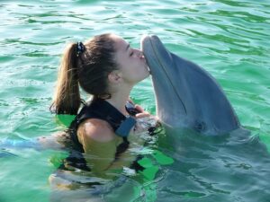 terapia con delfine