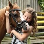 terapia con caballos